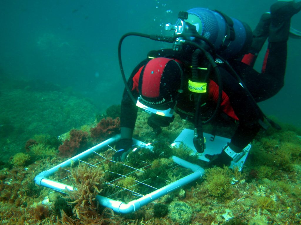 Cataluña suma 20 zonas de exclusión de pesca a su superficie marina