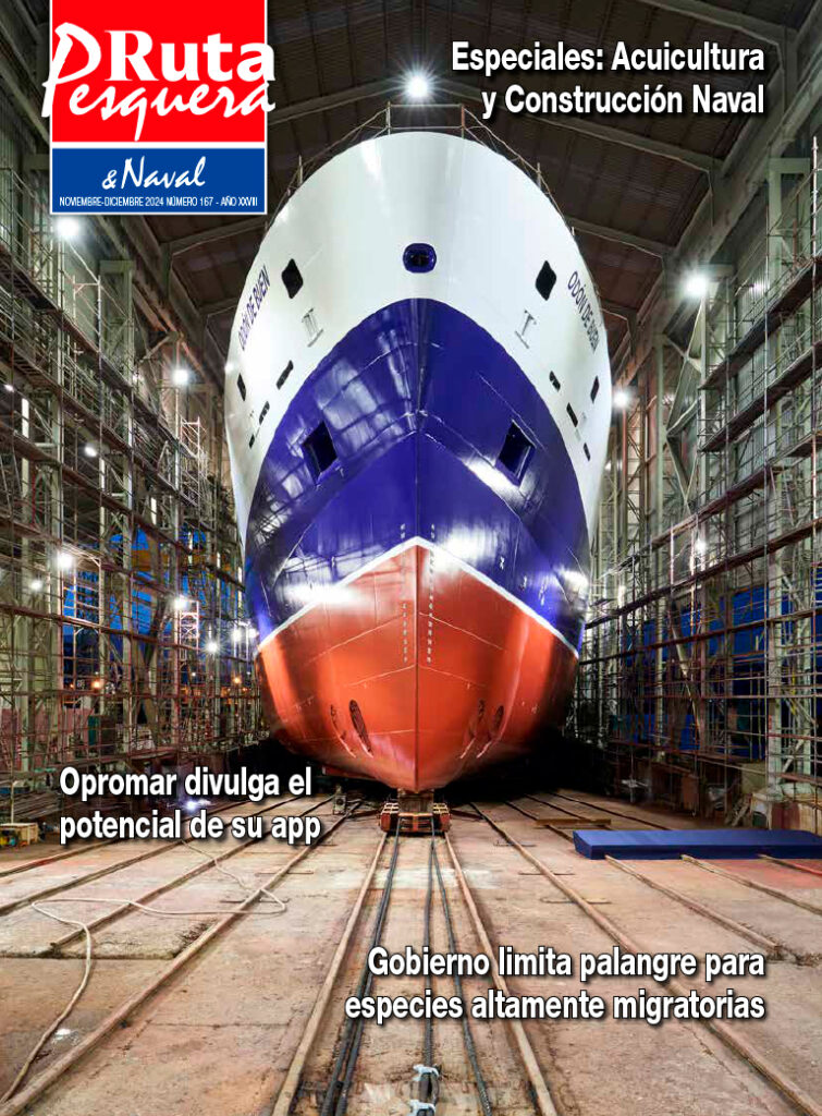 Revista 167